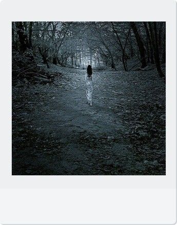 Jour merveilleux - page 31 -