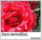 Jour-merveilleux-9.jpg